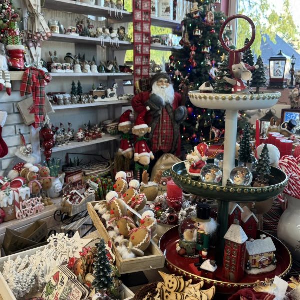 576704516_1477288337736542_4531033935391160595_n