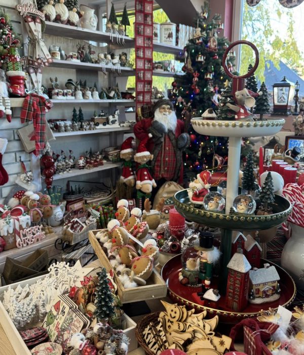 576704516_1477288337736542_4531033935391160595_n