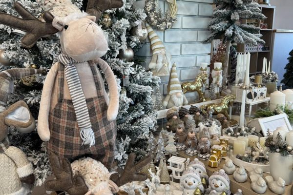 577013599_1478313047634071_1333264728012922364_n