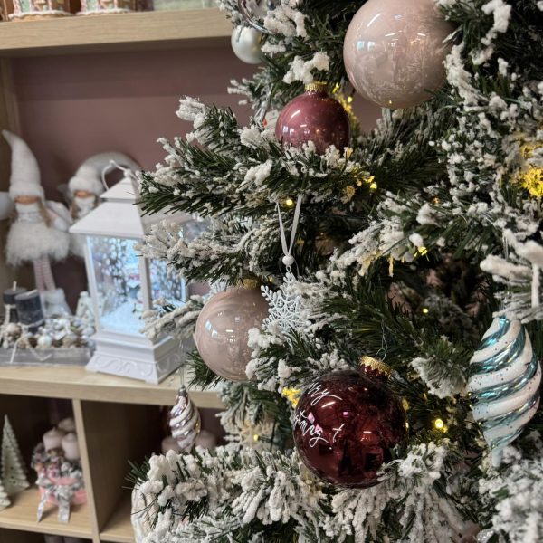 578798949_1484018577063518_6281797095543956897_n