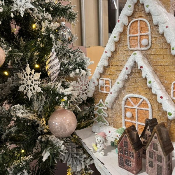 579988415_1484018590396850_4988904220590317259_n